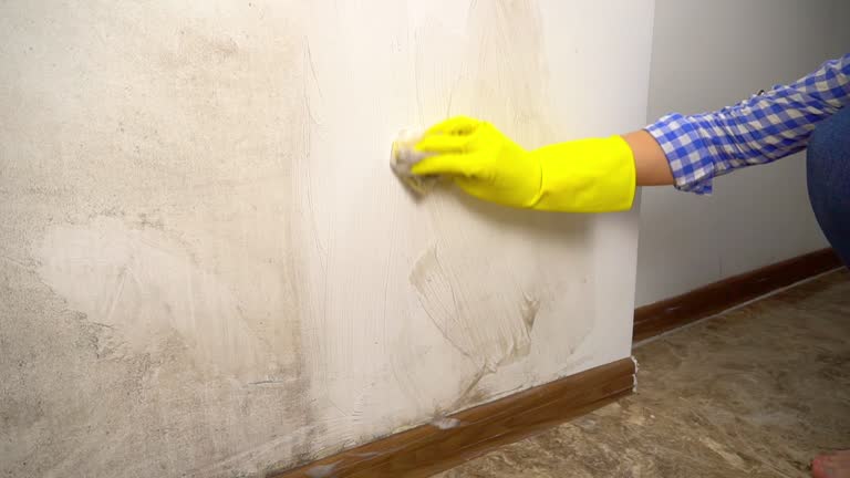 Best Mold Prevention Services  in Ashland, WI